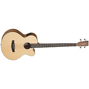 Tanglewood DBT AB BW Acoustic Electric Bass with Bag